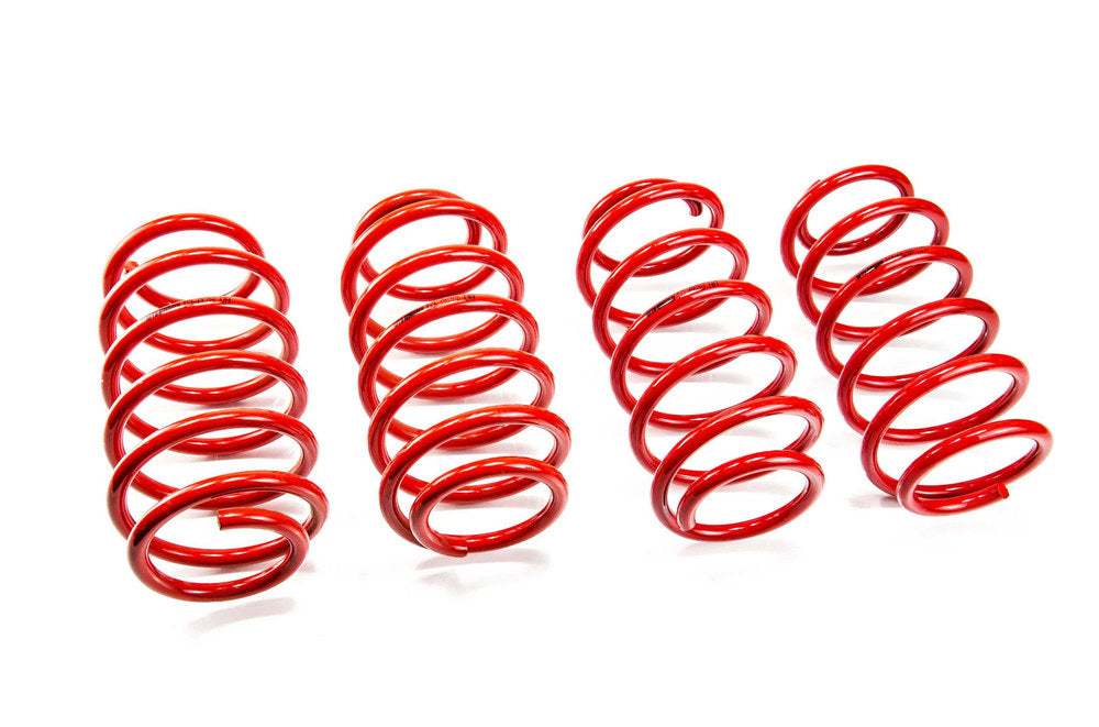 MTS Technik Performance Lowering Spring Set (35mm Front Lowering) for 1980-1988 Audi B2 Coupe (81/85) MTSXAU020