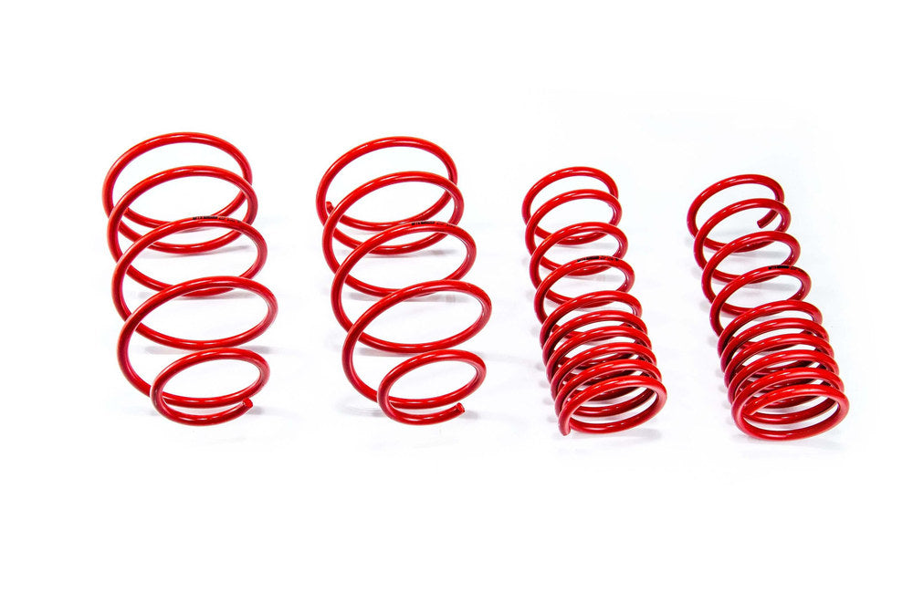 MTS Technik Performance Lowering Spring Set (30mm Front Lowering) for 1998-2010 Fiat Seicento / 600 1.1L Hatchback (187) MTSXFI091