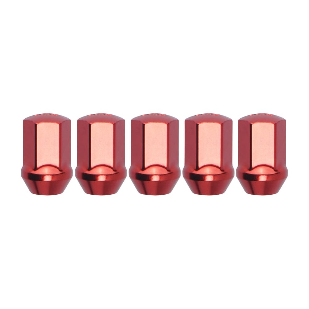 Function and Form Lug Nuts - Steel with Lock Kit