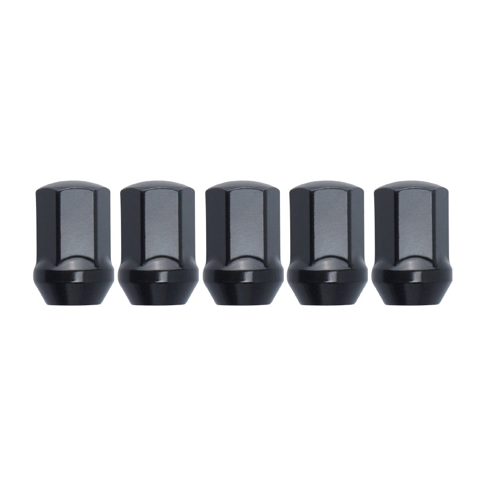 Function and Form Lug Nuts - Steel with Lock Kit