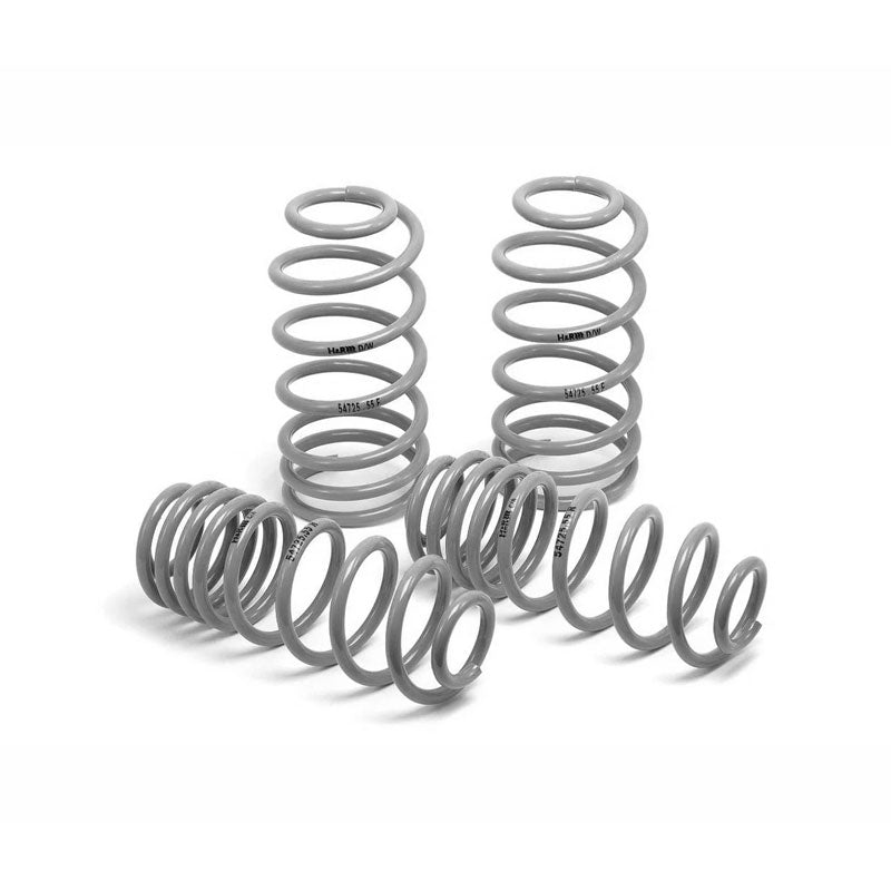 Aftermarket Lowering Springs