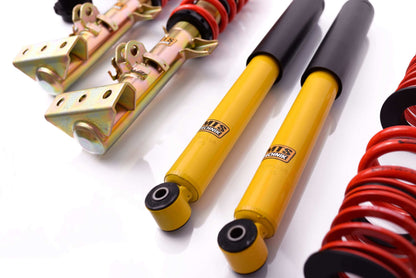 MTS Technik Stance Series Coilovers for 1995-2003 BMW Z3 Roadster (E36) MTSGWBM02-S
