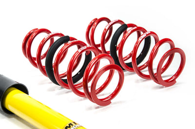 MTS Technik Street Series Suspension Coilover Kit (Gold Housing) for 2017-2020 Ford Fiesta VII Hatchback (HJ/HF) MTSGWFO23