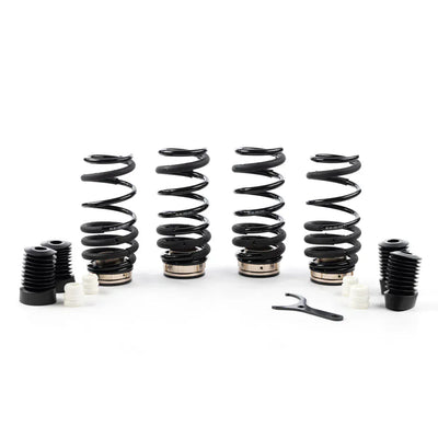 BC Racing ASP Series Springs for 2016-2023 Aston Martin DB11 131AM001N1