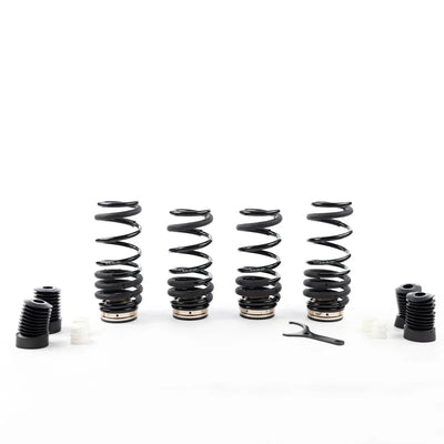 BC Racing ASP Series Springs for 2019-2024 BMW 8 Series 840i RWD 131BW003N1
