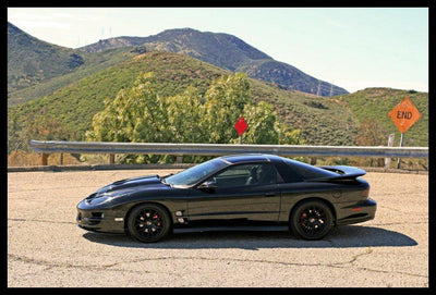 BMR Suspension Lowering Springs for 1993-2002 Pontiac Firebird (4th Gen) SP001R