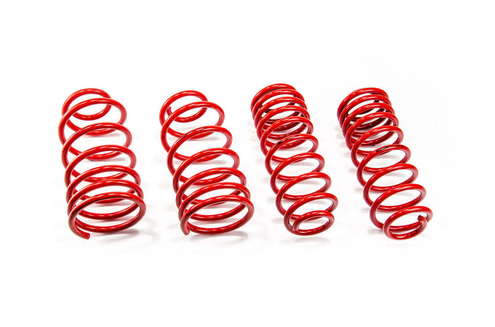 MTS Technik Performance Springs for 1996-2003 Audi A3 1.6L (8L) MTSXAU261