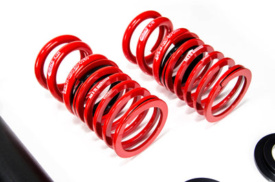 MTS Technik Stance Series Coilover Kit - With Rear Top Mount, Gold Housing for 1985-1993 BMW 325e (E30) MTSGWBM102-S