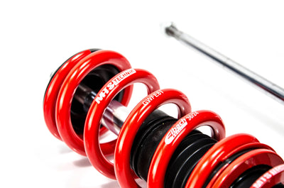 MTS Technik Stance Series Coilover Kit - Without Front Axle Top Mount for 2000-2010 Audi A3 (8L) XMTSGWVW10-S