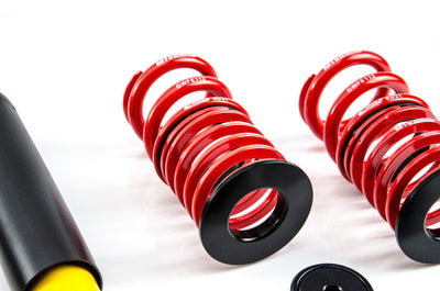 MTS Technik Stance Series Coilover Kit - Without Rear Top Mount, Inox Housing, 45mm Strut for 1985-1993 BMW 325e (E30) XMTSGWBM15-S