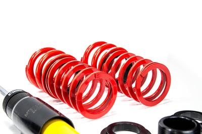 MTS Technik Stance Series Suspension Coilover Kit for 1992-1993 BMW 318i (E36) XMTSGWBM113-S