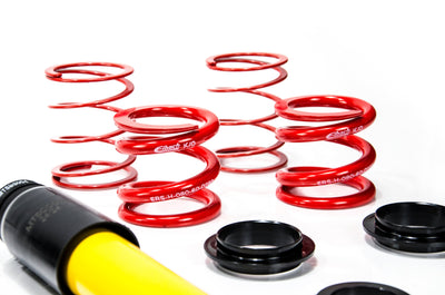 MTS Technik Stance Series Suspension Coilover Kit for 2003-2009 BMW Z4 (E85/E86) MTSGWBM113-S