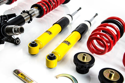 MTS Technik Street Series Coilover Kit for 1978-1992 BMW 733i (E23) XMTSGWBM90