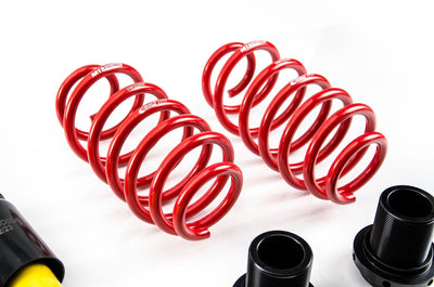 MTS Technik Street Series Coilover Kit for 1998-2010 Audi TT (8N) XMTSGWVW87