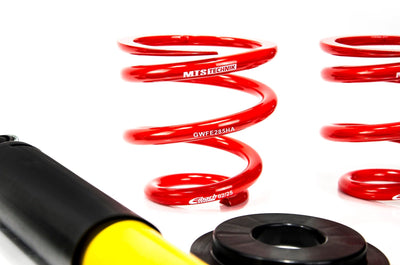 MTS Technik Street Series Coilover Kit for 2000-2004 Audi S3 (8L/8P) XMTSGWVW88