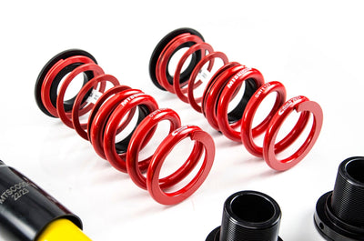 MTS Technik Street Series Coilover Kit - With Front and Rear Top Mount, Inox Housing for 1992-1999 BMW 318i (E36) XMTSGWBM98