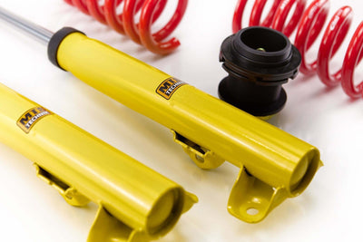 MTS Technik Street Series Coilovers for 1987-1993 Mercedes-Benz E-Class (C124) MTSGWMB01