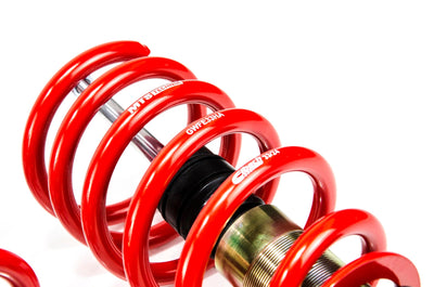 MTS Technik Street Series Coilovers - Front Axle Max Load 1201-1350 kg for 1996-2005 Volkswagen Passat Sedan 4motion (3B3) MTSGWAU28