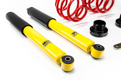 MTS Technik Street Series Suspension Coilover Kit for 1995-1999 BMW 318ti (E36) MTSGWBM117