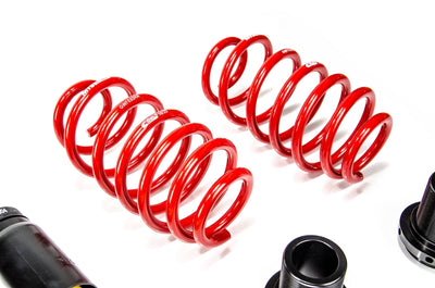 MTS Technik Street Series Suspension Coilover Kit for 1999 Audi TT (8N) MTSGWVW87