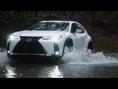 RS-R Best-i Jouge Coilovers for 2019+ Lexus UX250h AWD (MZAH15)