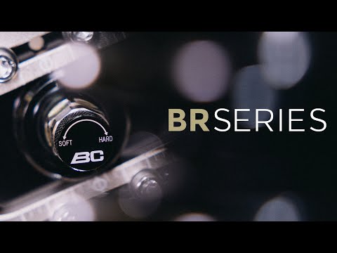 BC Racing BR Series Coilovers for 2015-2020 Audi A3 Sedan FWD/AWD (8V) 49.5mm Front Strut