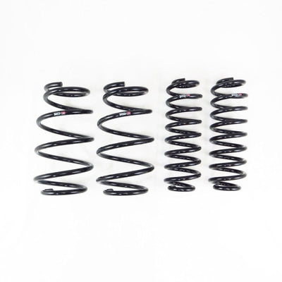RS-R Down Sus Lowering Springs - 2019+ Lexus ES300h (AXZH10/AXZH11) T311D