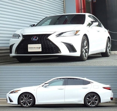 RS-R Down Sus Lowering Springs - 2019+ Lexus ES300h (AXZH10/AXZH11) T311D