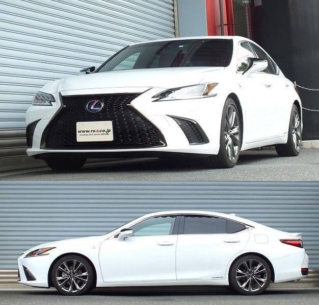 RS-R Down Sus Lowering Springs - 2019+ Lexus ES300h (AXZH10/AXZH11) T311D