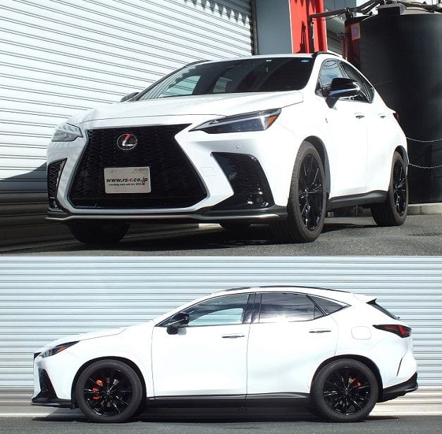 RS-R Down Sus Lowering Springs - 2022+ Lexus NX350h AWD (AAZH25) T525D