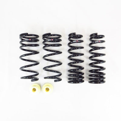 RS-R Super Down Sus Lowering Springs - 2021+ Lexus IS300 AWD (GSE36L) T595S