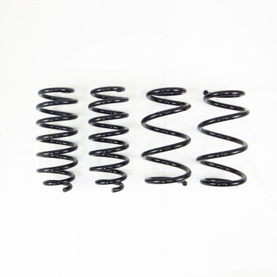 RS-R Ti2000 Down Sus Lowering Springs - 2017+ Tesla Model 3 (RWD) TL001TD