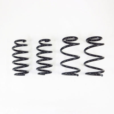 RS-R Ti2000 Down Sus Lowering Springs - 2019+ Tesla Model 3 (AWD) TL002TD