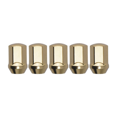 Function and Form Lug Nuts - Steel with Lock Kit