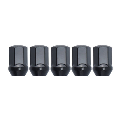 Function and Form Lug Nuts - Steel with Lock Kit