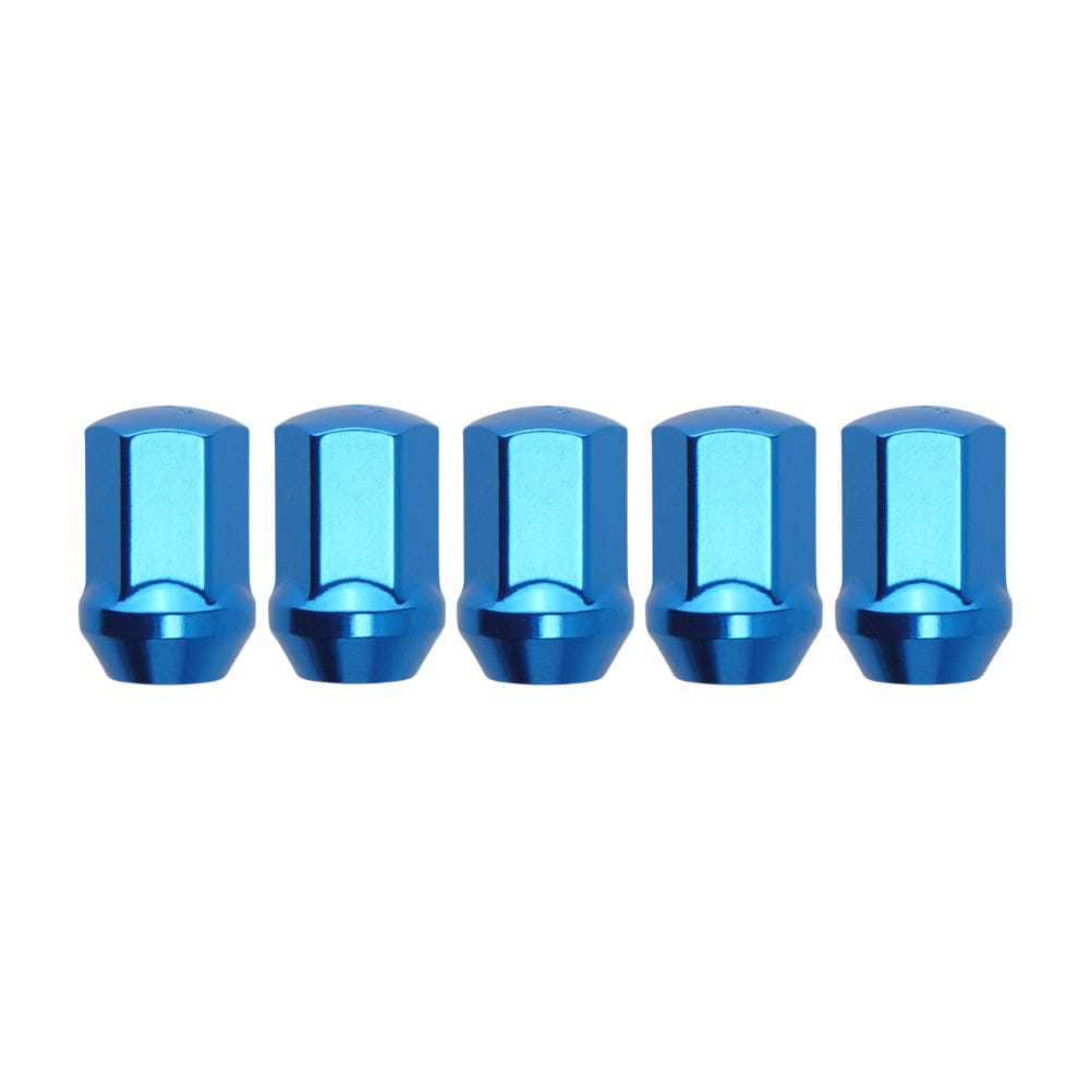 Function and Form Lug Nuts - Steel with Lock Kit