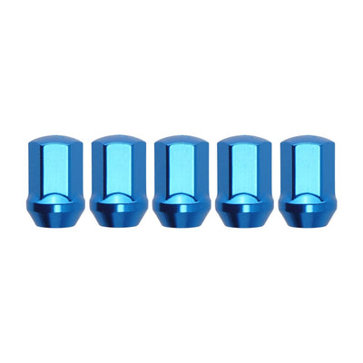 Function and Form Lug Nuts - Steel with Lock Kit
