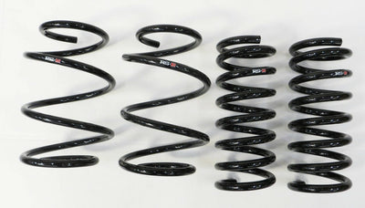 RS-R Down Sus Lowering Springs - 2013-2019 Nissan Sentra (B17) N205D