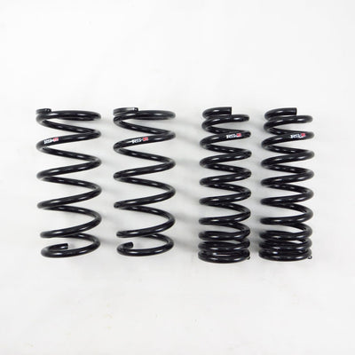 RS-R Down Sus Lowering Springs - 2016-2020 Lexus GS350 RWD (GRL12) T172D